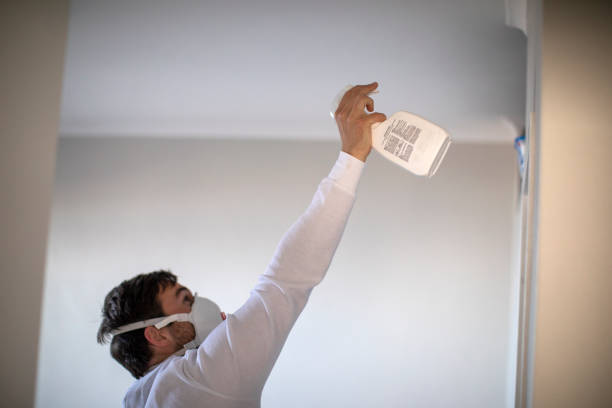 Best Attic Mold Removal  in Seaman, OH