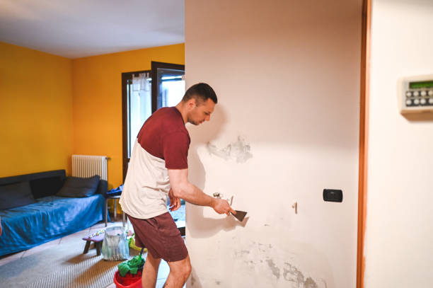 Office Mold Removal Services in Seaman, OH